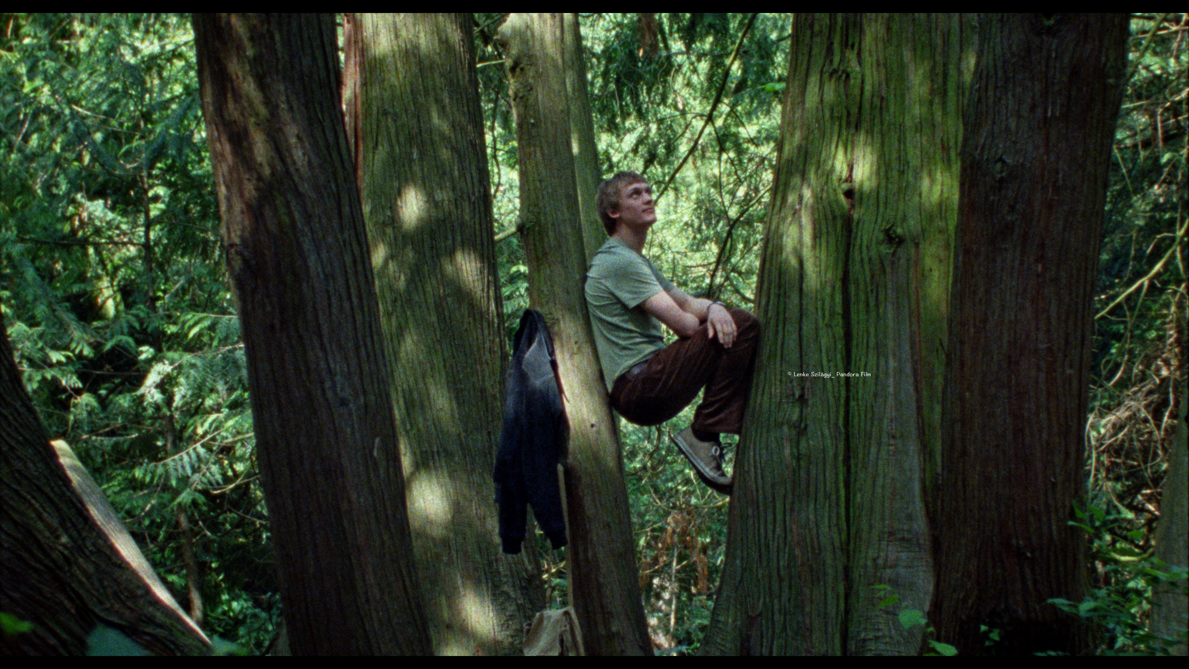 你是不會當樹嗎 Silent Friend