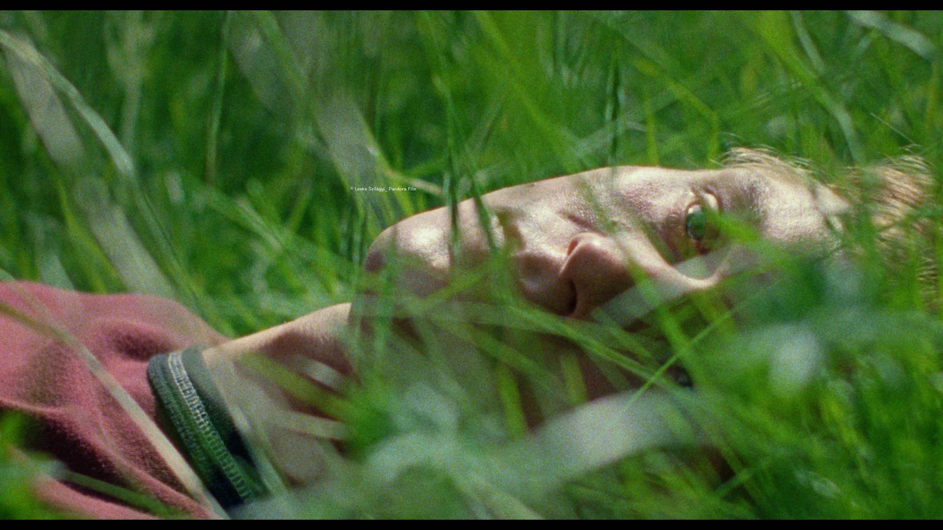 你是不會當樹嗎 Silent Friend